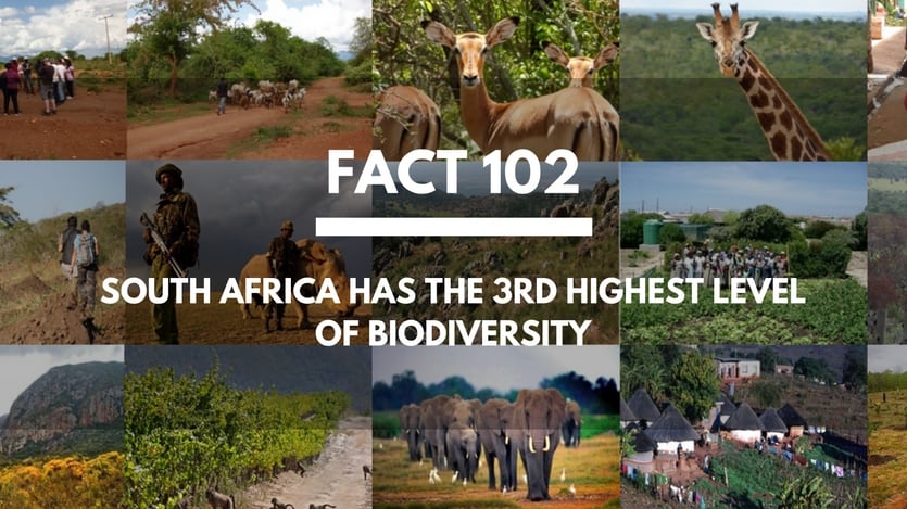 Fact-102-South-Africa-Biodiversity