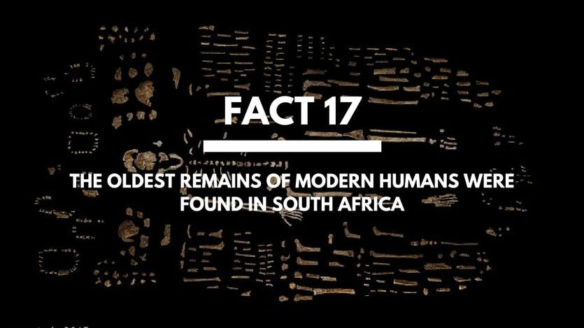 Fact-17-Modern-Humans-South-Africa