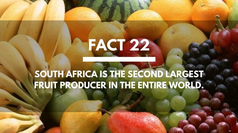 Fact-22-South-Africa-Fruit-Producer