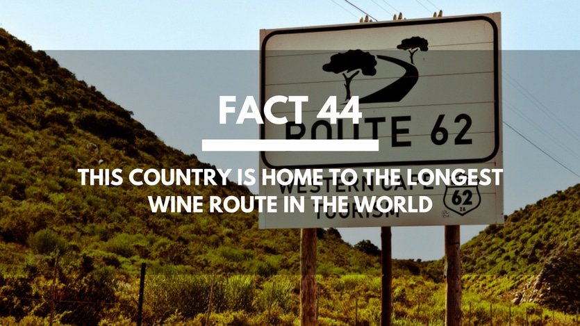 Fact-44-Cape-Road