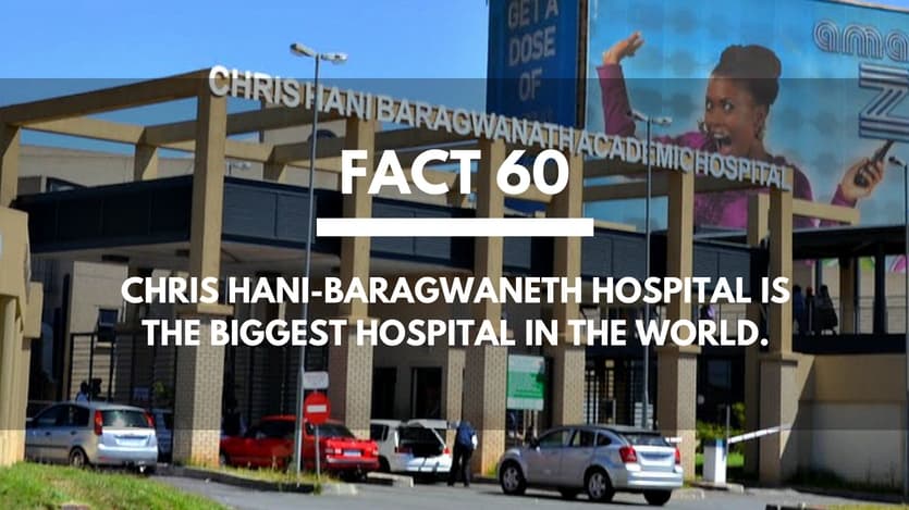 Fact-60-Chris-Hani-Baragwaneth-Hospital