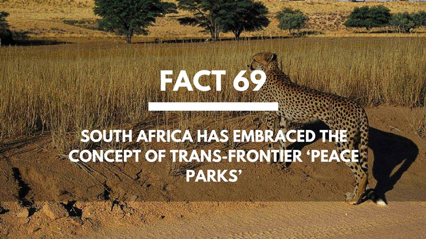 Fact-69-Trans-Frontier-Peace-Parks