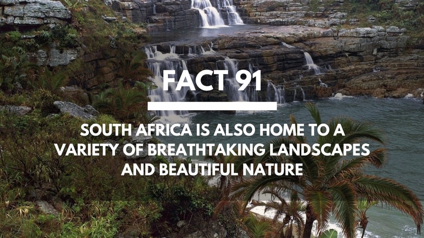 Fact-91-South-Africa-Beautiful-Nature